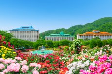花巻温泉(ホテル花巻/ホテル紅葉館/ホテル千秋閣)