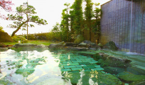 魚巡りの宿 永芳閣