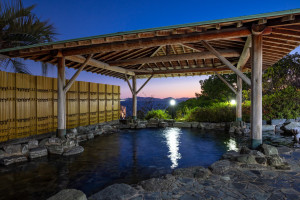 三谷温泉 ひがきホテル