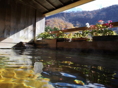 十和田湖畔温泉