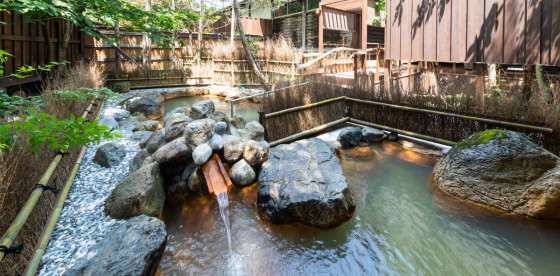 湯めぐりの宿 平湯館(共立リゾート)