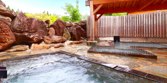 天然温泉 田沢湖レイクリゾート