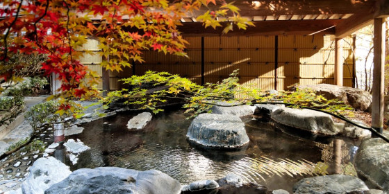 雨情の宿 新つた