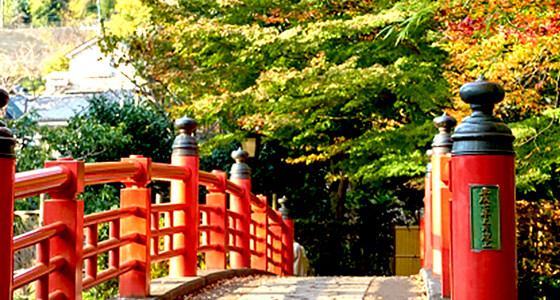修善寺_楓橋