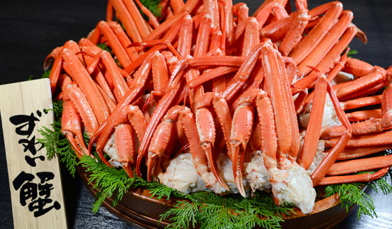 ブリベイ修善寺