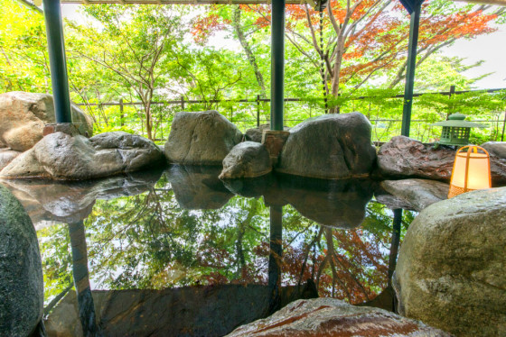 鬼怒川パークホテルズ