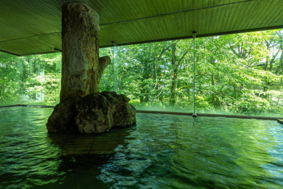 亀の井ホテル 田沢湖（旧：プラザホテル山麓荘）