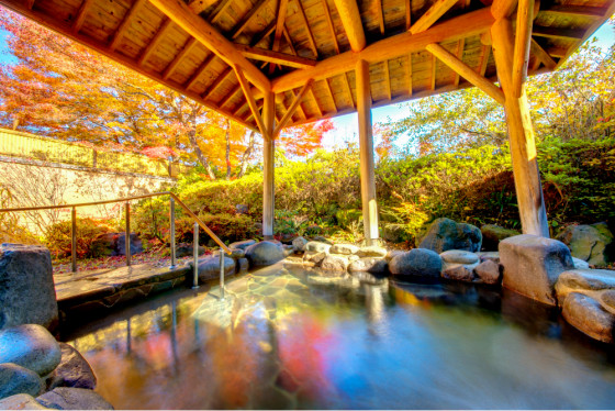 フォレストリゾート コニファーいわびつ