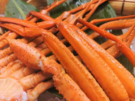 ウェルネスの森伊東