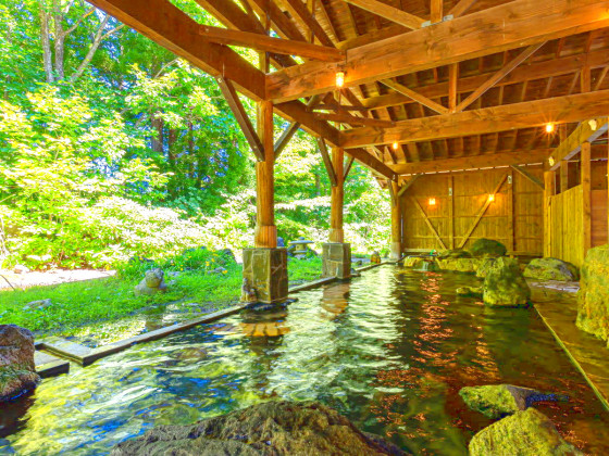 亀の井ホテル 田沢湖（旧：プラザホテル山麓荘）